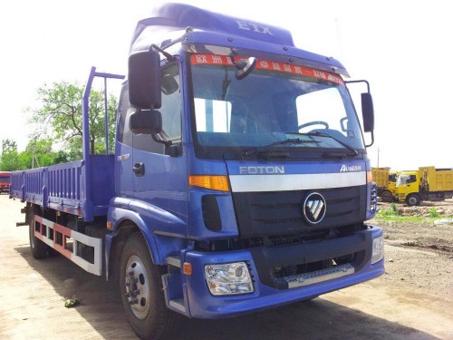 Характеристики бортового грузовика Foton Auman BJ51 4.7 MT 4x2 BJ5123VHCFG-S1 Flat roof 8.22 (04.2007 - 02.2018): фото, грузоподъемность, масса, скорость, двигатель, топливо, отзывы