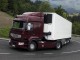 Характеристики седельного тягача Renault Premium 7.2 MT 4x2 Sleeper cab 3500 (01.2006 - 09.2013): фото, размеры, грузоподъемность, масса, скорость, двигатель, топливо, отзывы