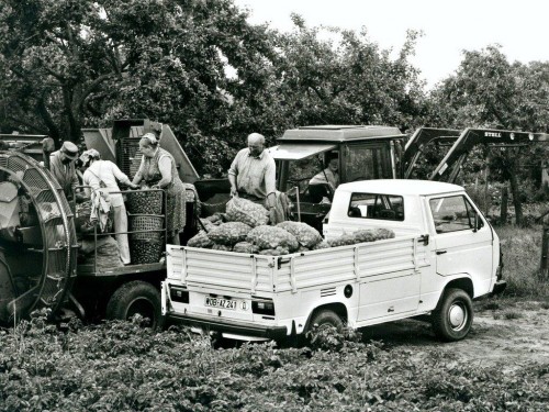 Характеристики грузового автомобиля Volkswagen Type 2 1.6D MT4 1600 Single Cab (01.1981 - 01.1987): фото, грузоподъемность, масса, скорость, двигатель, топливо, отзывы