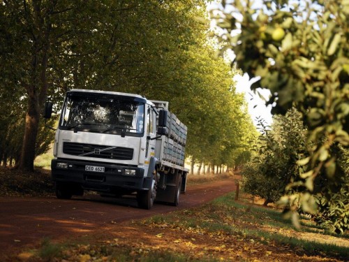Характеристики тягача Volvo FL 5.5 MT6 4x2 Rigid FL6 E42R 17A Air 4300 (04.2000 - 04.2006): фото, размеры, грузоподъемность, масса, скорость, двигатель, топливо, отзывы